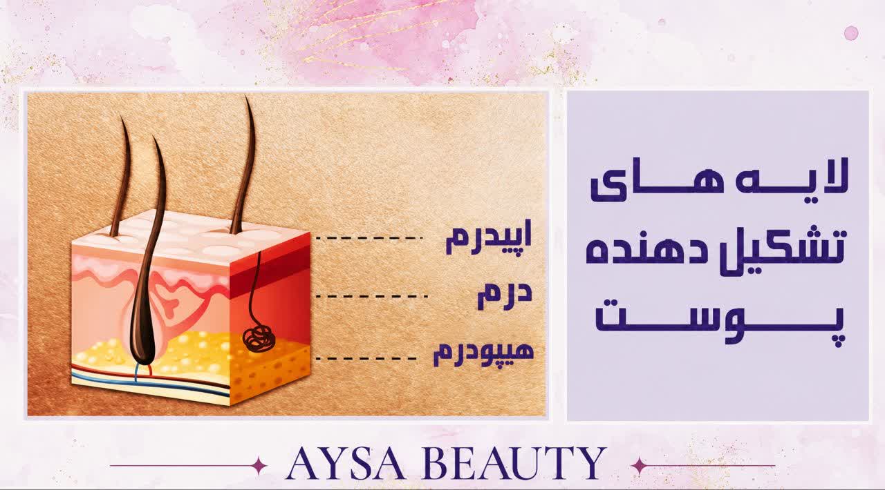 همه چیز درباره پوست (ساختار، وظایف و روش‌های مراقبتی)